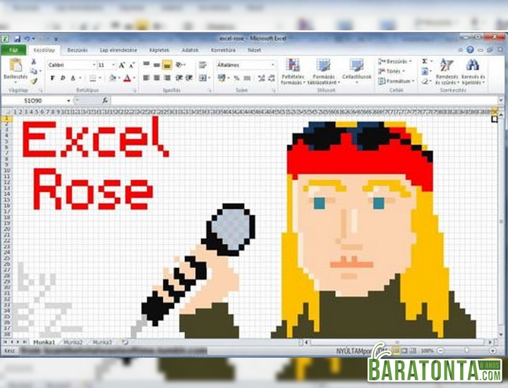Excel Rose
