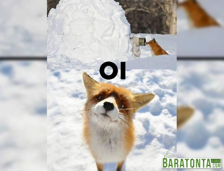 Olho pelo buraco e...