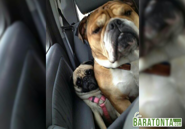 Quando tem muita gente no carro e você tem que se apertar