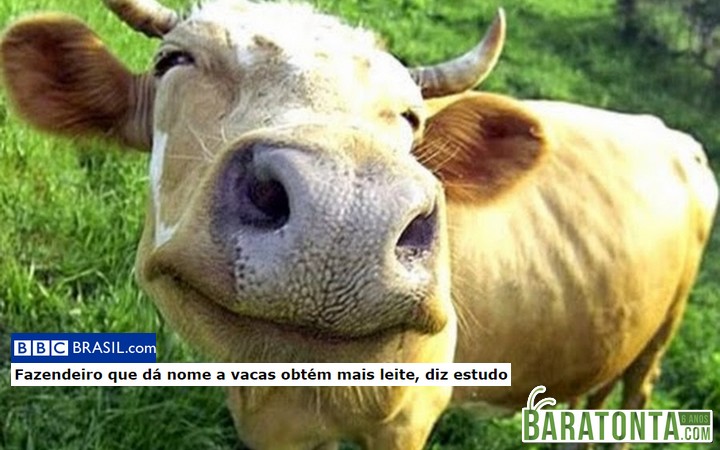 8 descobertas ridículas que você jamais imaginou que veria na sua vida!