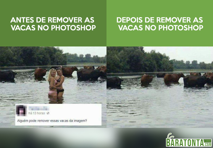 Alguém pode remover as vacas?