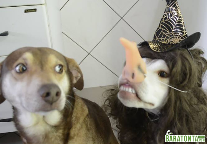 Fantasia de halloween