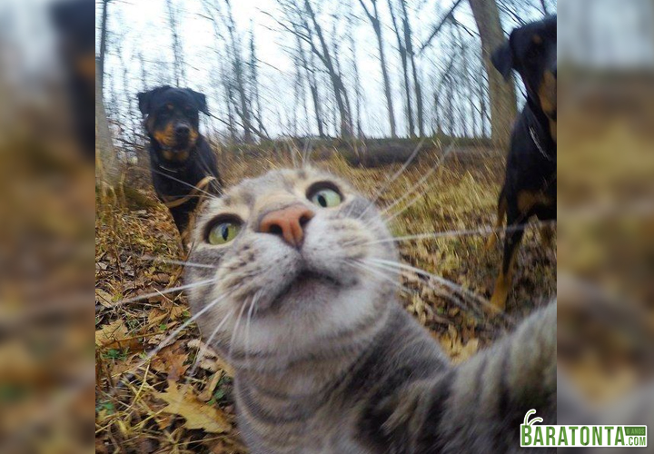 Pausa pra selfie