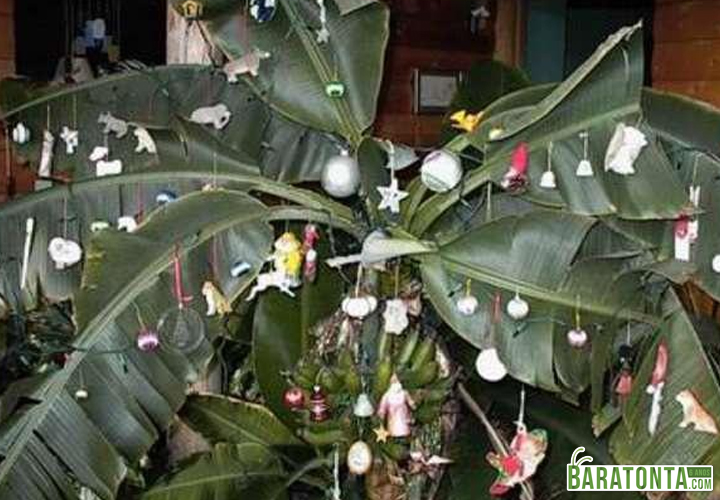 10 vezes que o Natal foi um fiasco e dia de constrangimento para algumas pessoas!