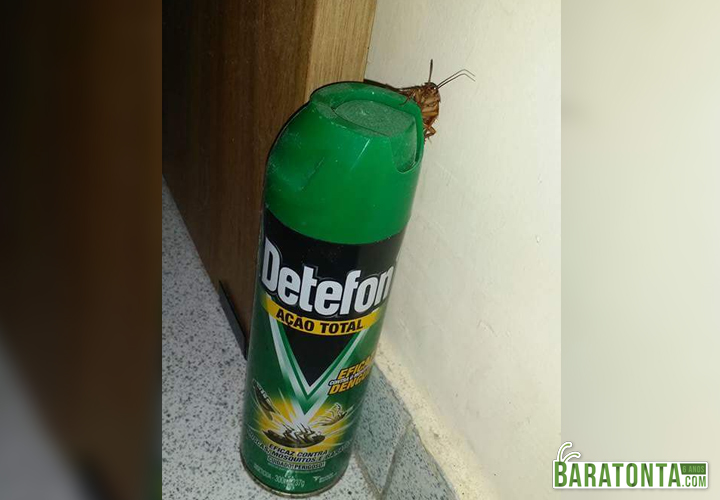 Definição de V1d4 L0k4