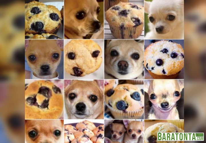 Jogo da adivinhação