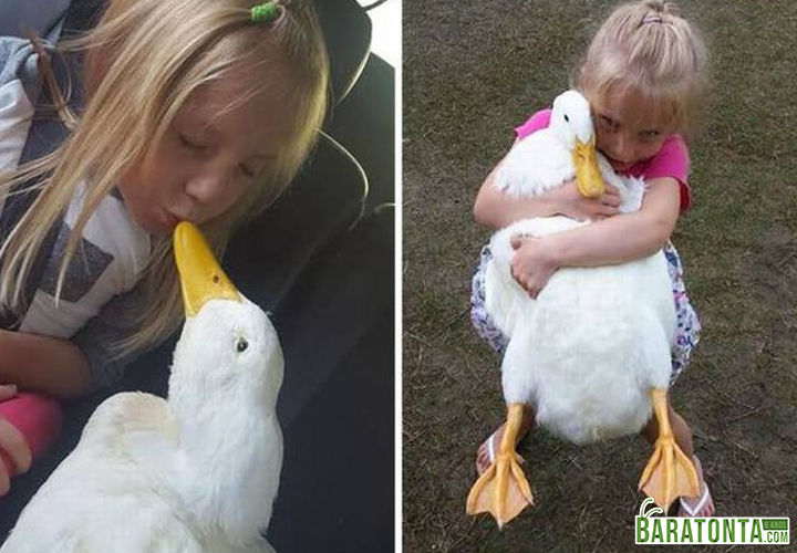 O pato é o melhor amigo dela desde bebê