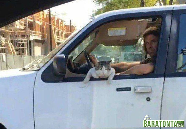 Minha cara de quem tá feliz