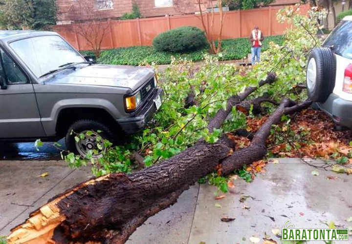 Sorte é pouco pra definir