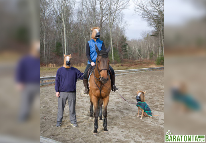 10 atitudes constrangedoras que simplesmente não conseguimos explicar – Parte 4