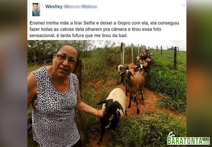 A melhor selfie do ano