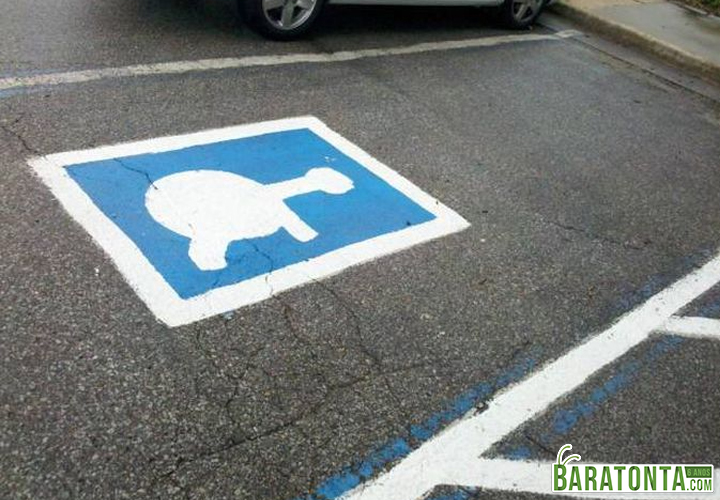 Estacionamento reservado para tartarugas