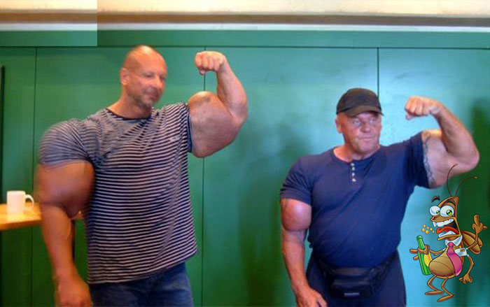 motivos para não usar bomba