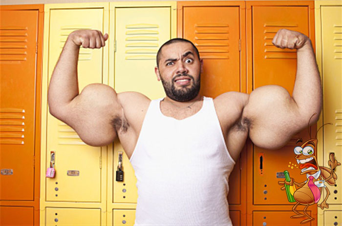 motivos para não usar bomba