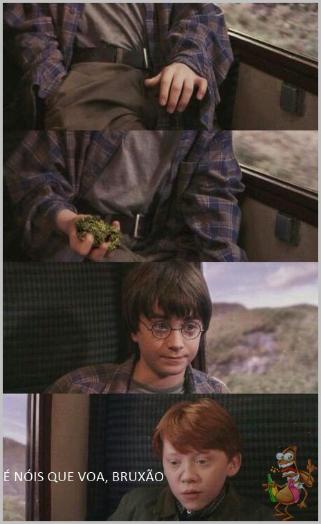 A verdade sobre Harry Potter